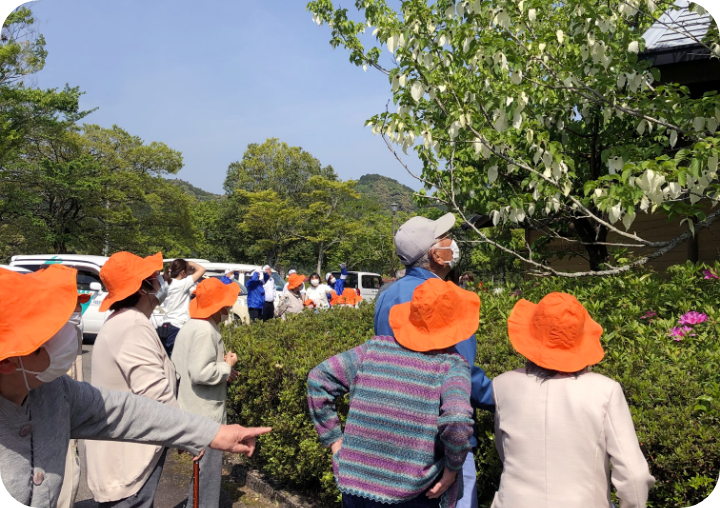 4月 ハンカチの木見学